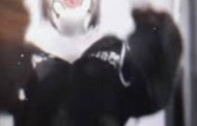 Bé gái áo đen nhảy lộ clip mở bài hoang dã gây xôn xao