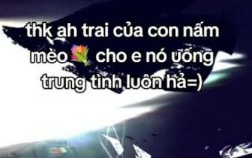 Hàng loạt từ khóa 