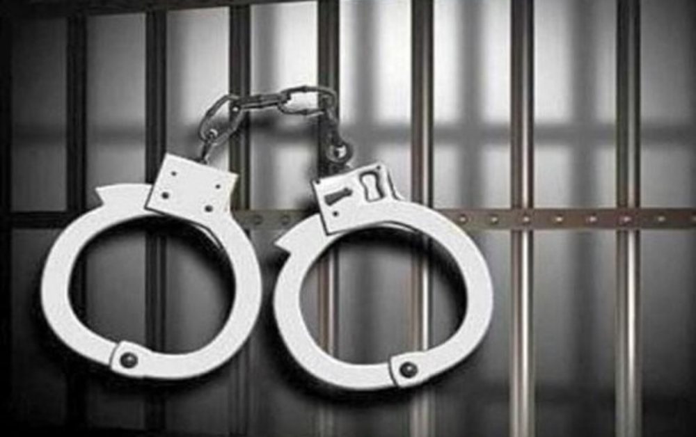 Khởi tố 5 đối tượng chiếm đất rừng phòng hộ, làm giả nguồn gốc đất để lừa đảo