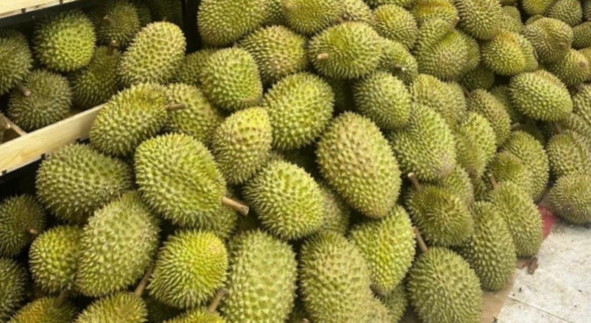 Diễn biến mới vụ gần 2.000 container sầu riêng bị ùn tắc