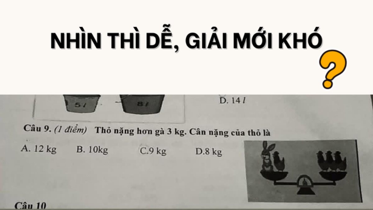 99% người trưởng thành 'đau đầu' vì câu toán tiểu học
