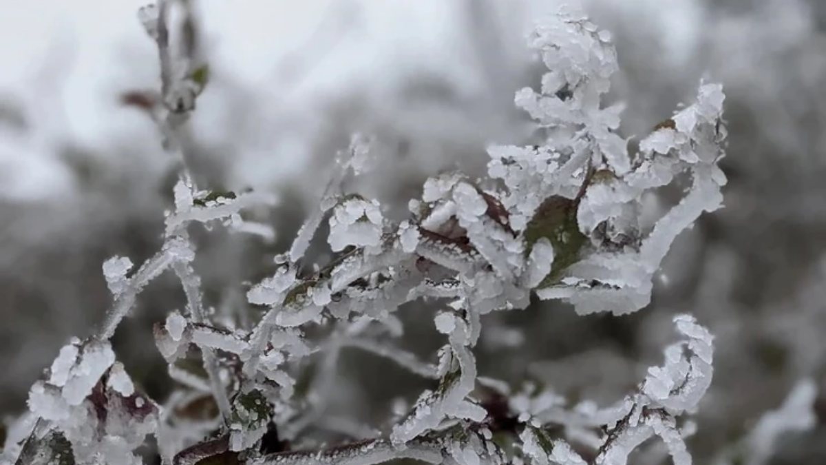 Tiết Đại hàn 2026 bao giờ kết thúc?