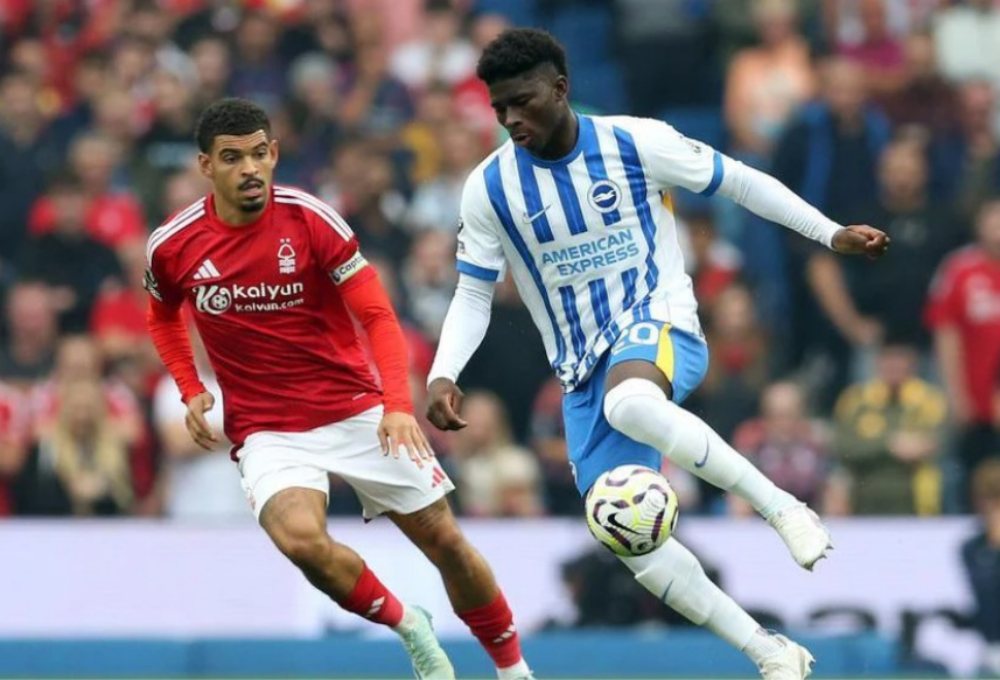 Nhận định Brighton vs Nottingham Forest 21h00 ngày 01/03, Ngoại hạng Anh