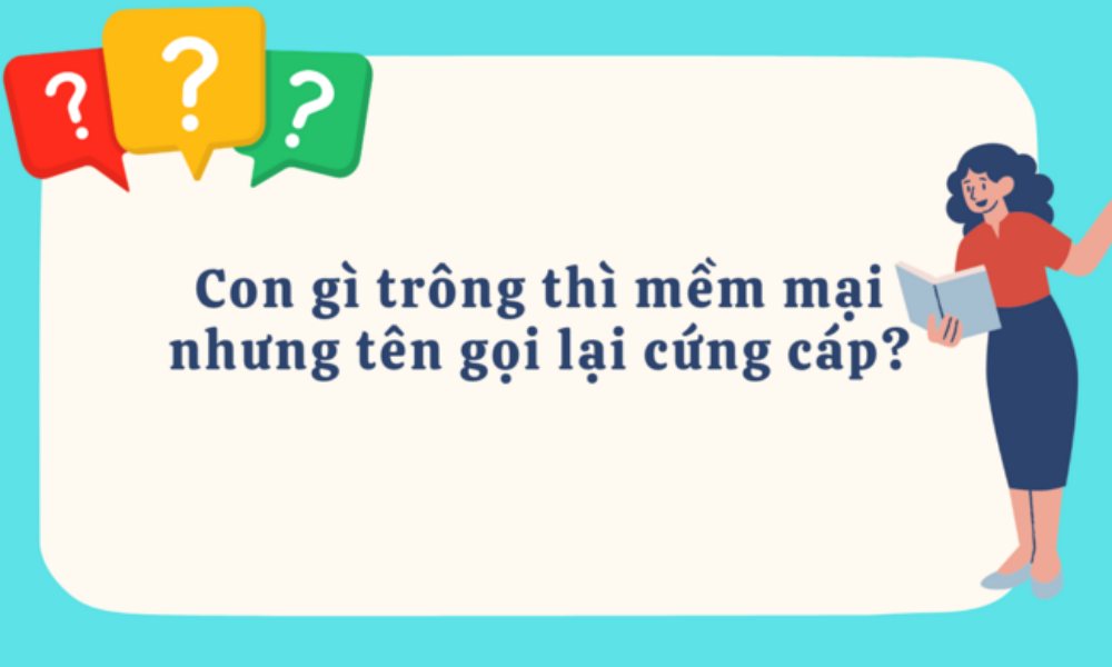 Con gì trông thì mềm mại nhưng tên gọi lại cứng cáp?