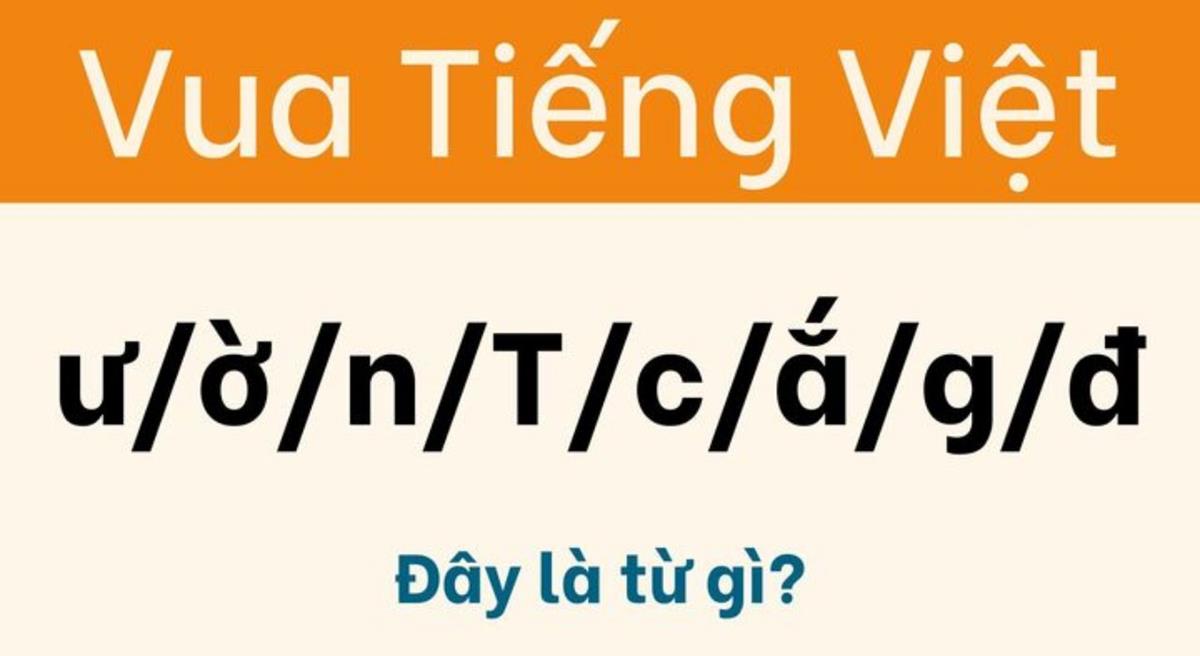 Chỉ hơn 1% người giỏi ngôn ngữ mới tìm được lời giải