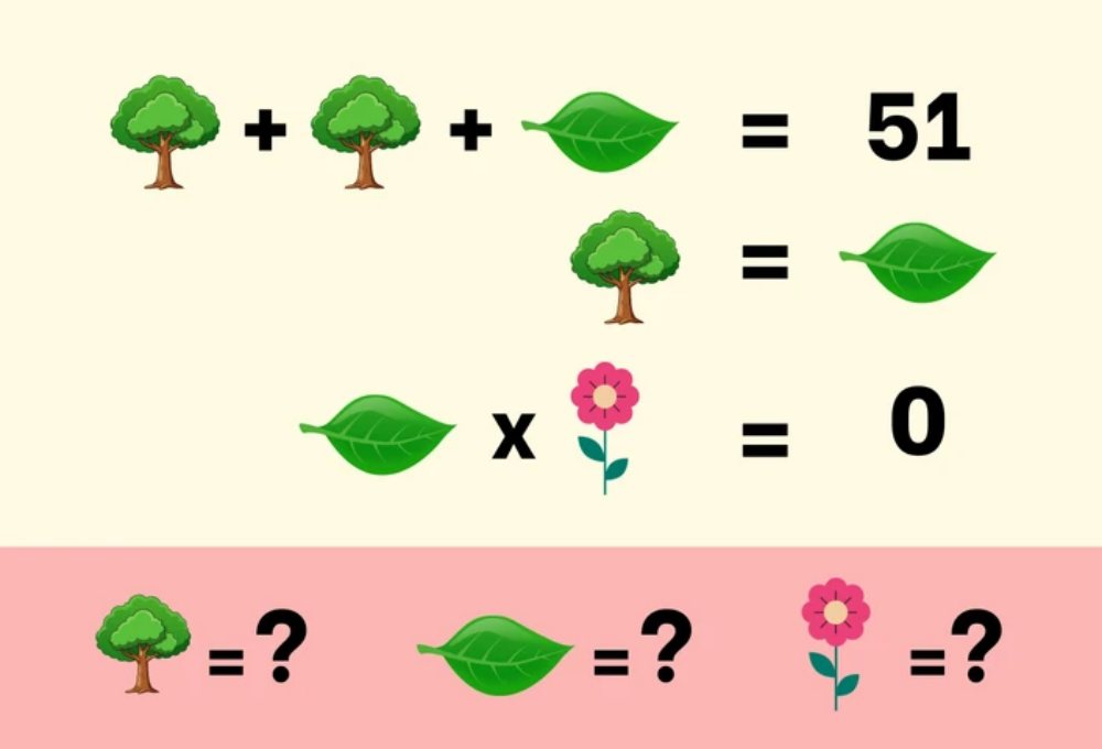 Thử thách toán học dành cho những 'thiên tài nhạy số'