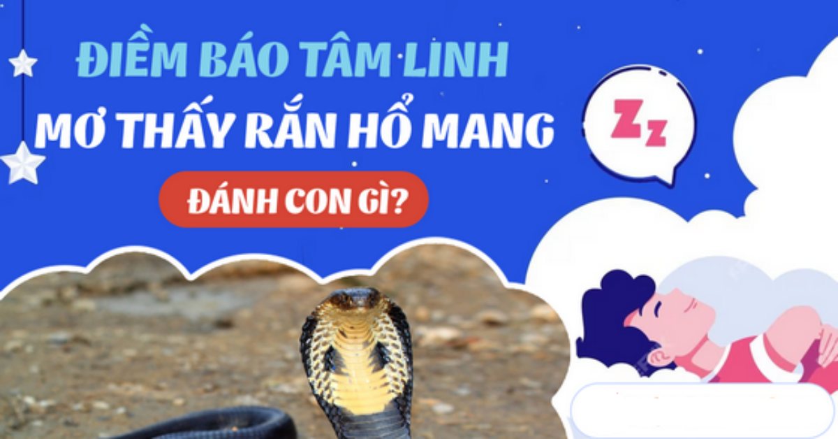 Nằm mơ thấy rắn hổ mang đánh con gì? Giải mã giấc mơ thấy rắn hổ mang chuẩn nhất