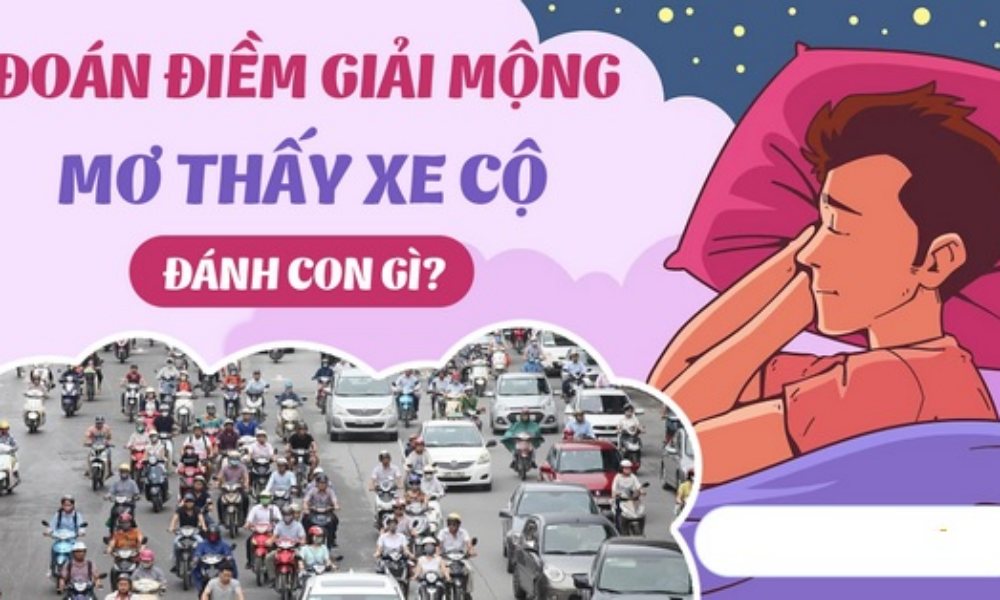 Nằm mơ thấy xe là giấc mơ có ý nghĩa như thế nào?