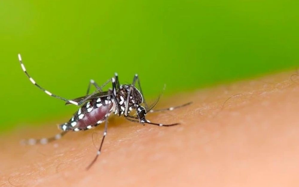 Kẻ thù số một của y tế công cộng
