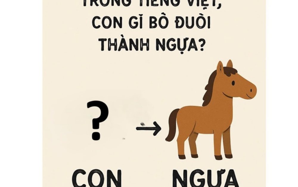 Câu đố "hại não": Con gì bỏ đuôi thành con ngựa?