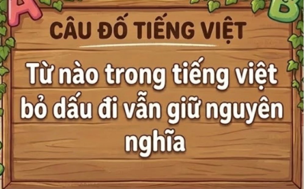 Bạn có biết từ tiếng Việt nào bỏ dấu vẫn giữ nguyên nghĩa?