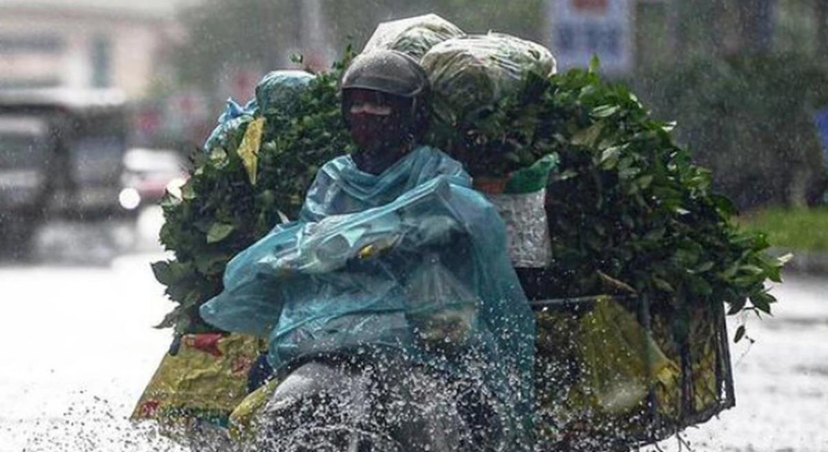 Thời tiết 2/11: Miền Trung mưa, miền Bắc chuyển mưa rét từ đêm