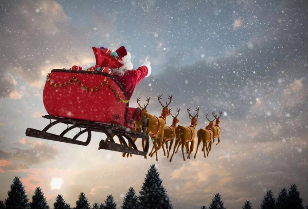 Sự thật ít người biết về giới tính 9 con tuần lộc của ông già Noel