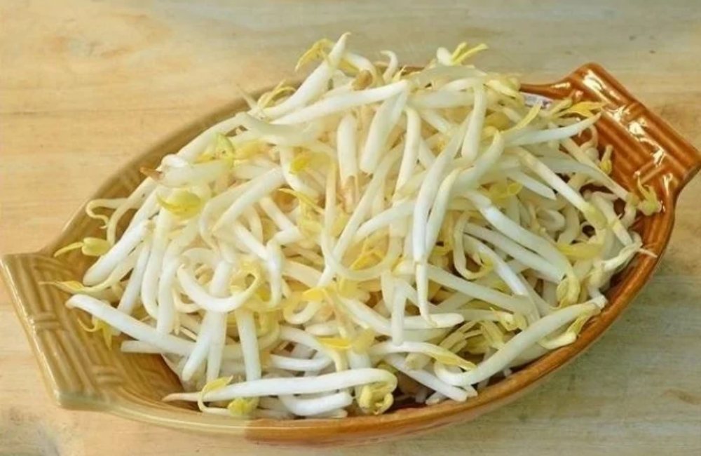 Nên ăn giá đỗ sống hay chín?