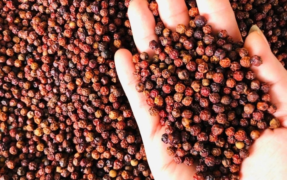 Bản tin nông sản hôm nay (13/4): Giá hồ tiêu tăng nhẹ, cà phê dao động quanh 85.000 đồng/kg