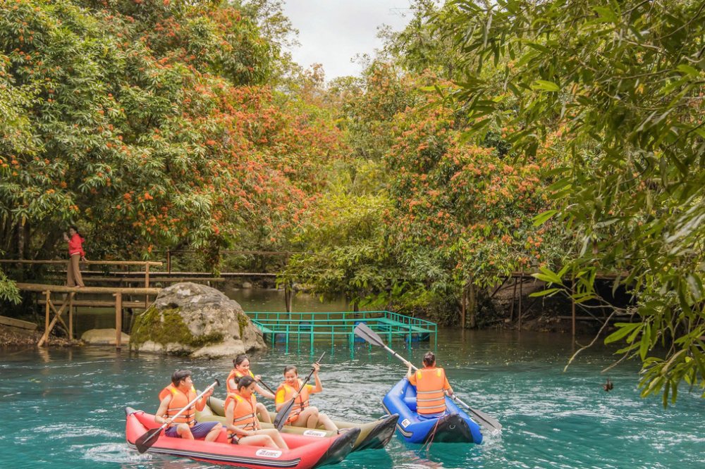 Mùa vàng anh thắp nắng giữa Phong Nha - Kẻ Bàng
