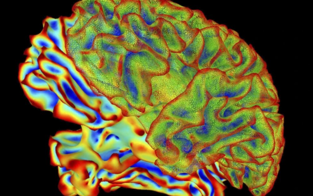 Công nghệ trí tuệ nhân tạo đọc được suy nghĩ con người gây chú ý