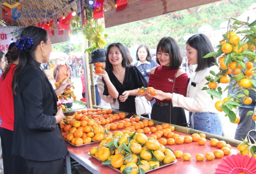 Khai mạc lễ hội cam Vân Đồn năm 2025