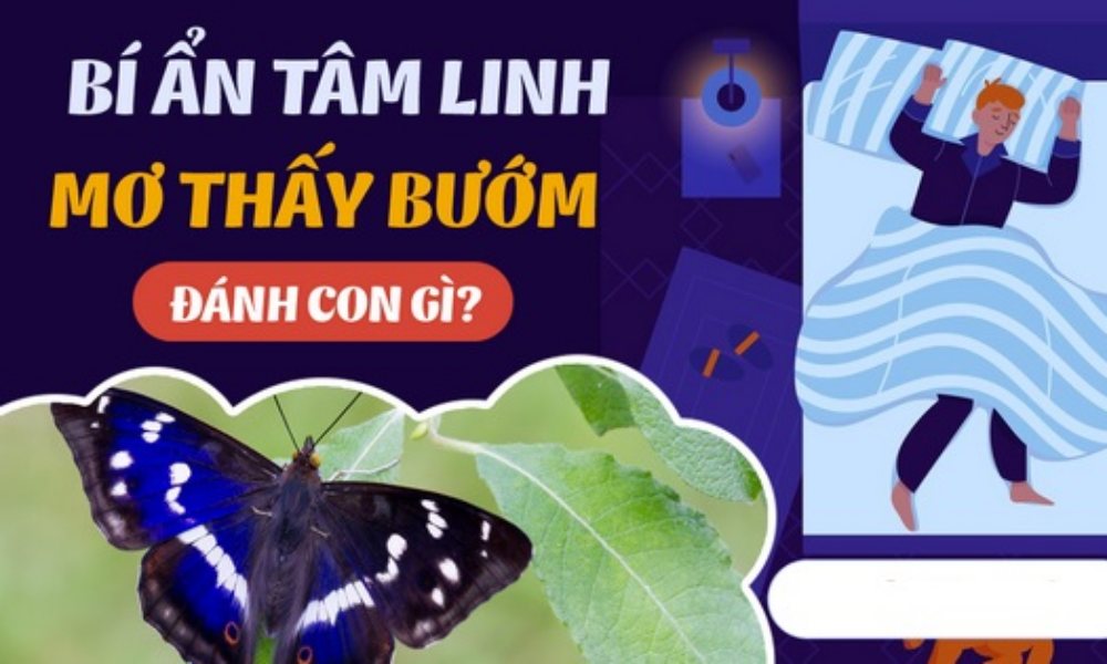 Nằm mơ thấy bướm đánh con gì? Giải mã chiêm bao thấy con bướm chi tiết