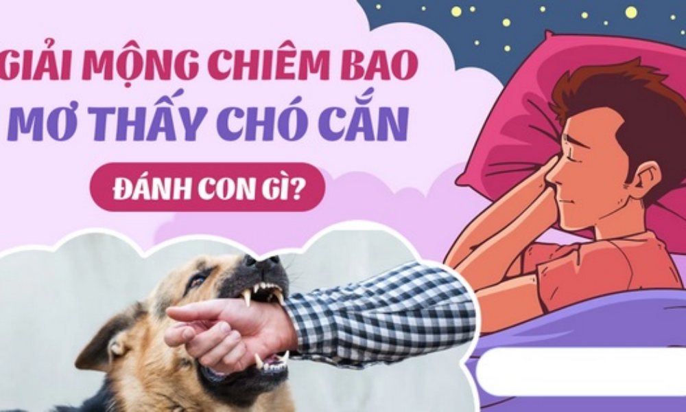 Nằm Mơ thấy chó cắn đánh số gì? Chiêm bao thấy chó cắn là điềm gì?