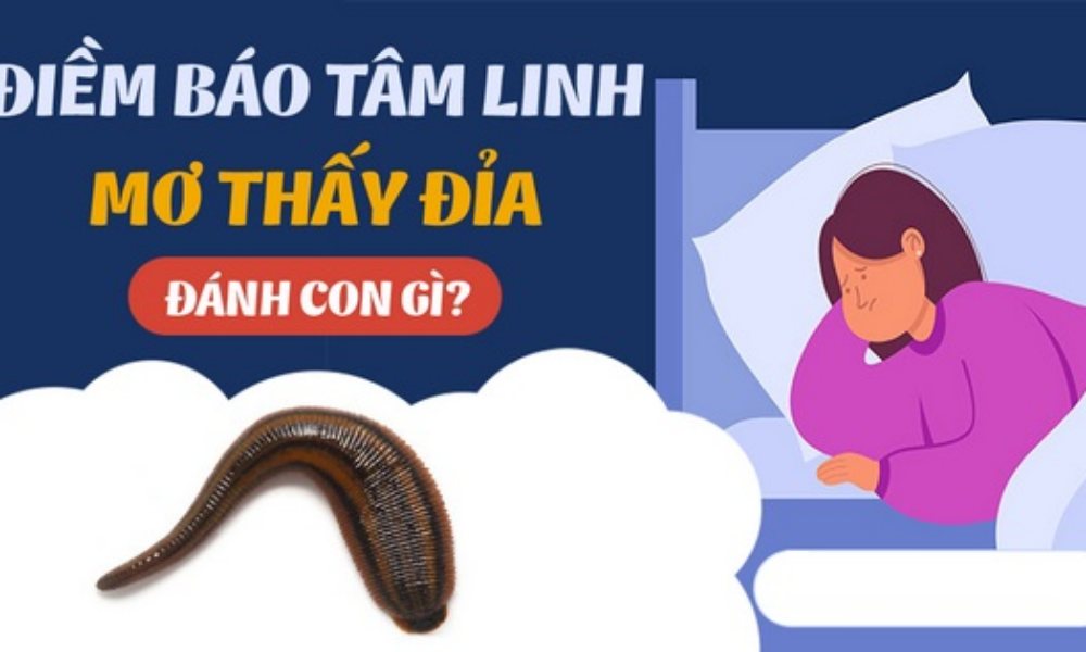 Nằm mơ thấy đỉa đánh con gì? Giải mã chiêm bao thấy con đỉa