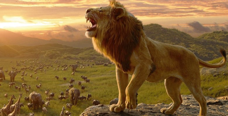 Nằm mơ thấy con sư tử có phải điềm tốt hay xấu?