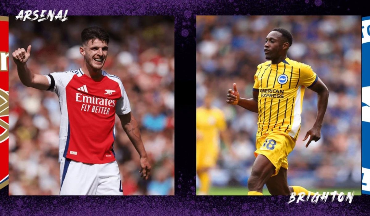 Nhận định bóng đá hôm nay ngày 29/10: Arsenal vs Brighton, Wolves vs Chelsea