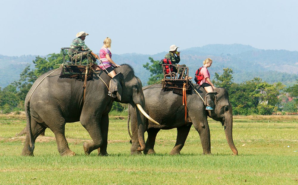 Buôn Ma Thuột có gì chơi? Những địa điểm đẹp, độc đáo giữa lòng Tây Nguyên