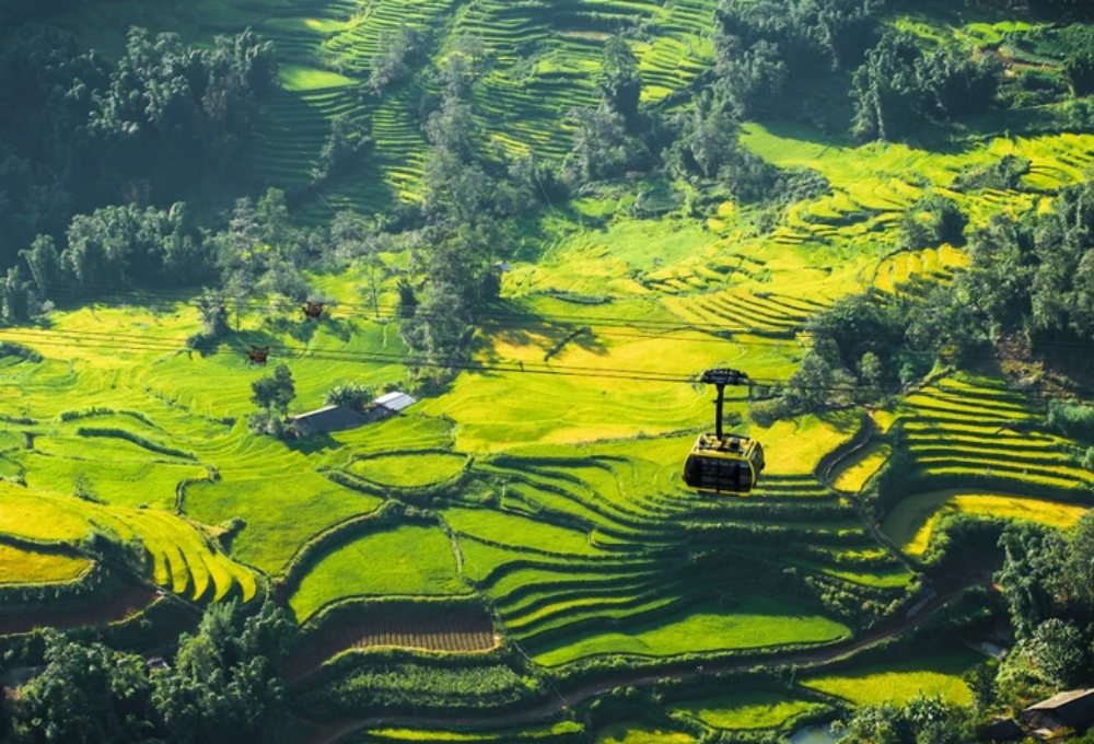 Sa Pa là điểm đến dành cho người tuổi Sửu năm 2026