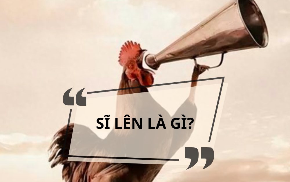 Sĩ lên là gì? Nguồn gốc, ý nghĩa và cách dùng từ lóng Gen Z không lo ‘tối cổ’