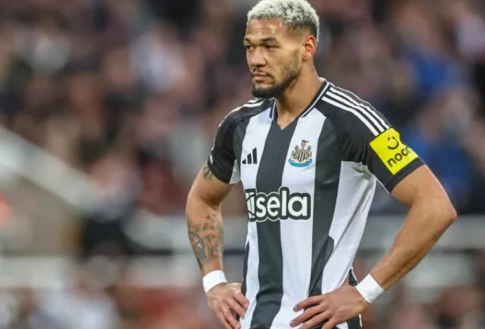 Nhận định Sunderland vs Newcastle 21h00 ngày 14/12, Premier League