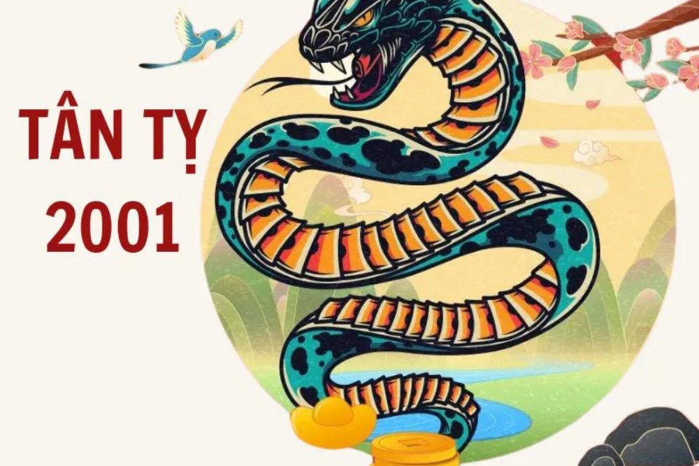 Tử vi tuổi Tân Tỵ 2001 nam mạng năm 2026