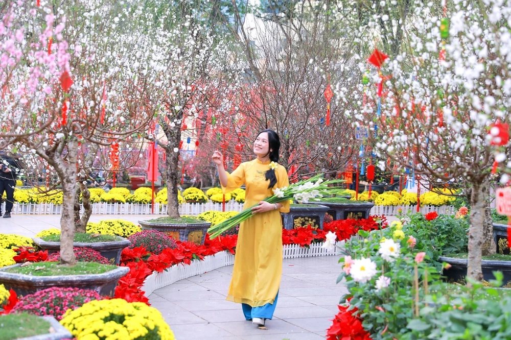 Thời tiết ngày Valentine 14/2: Nhiều khu vực trong cả nước trời có nắng