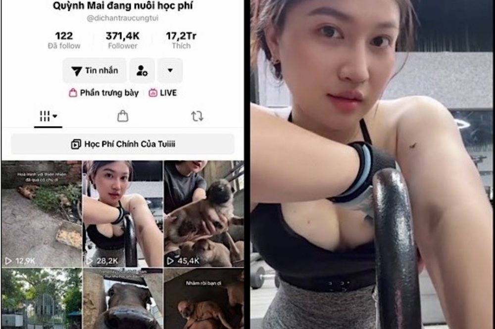 Clip Quỳnh Mai đang nuôi học phí gây sốt cộng đồng mạng