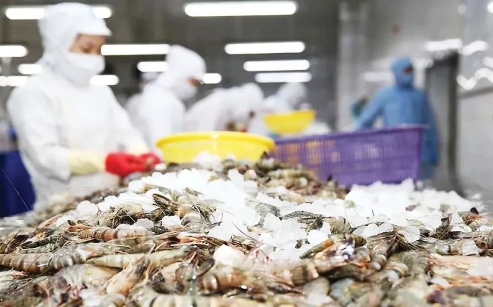 Mỹ giảm mạnh thuế chống bán phá giá với tôm Việt