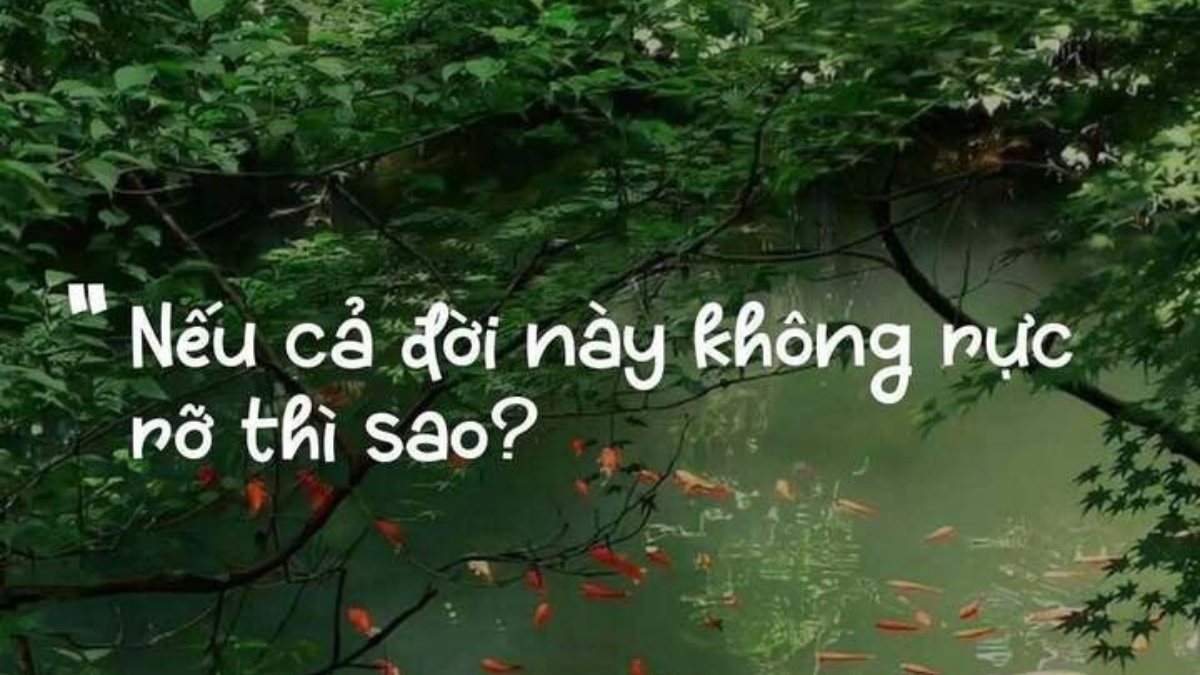 Vì sao câu nói "Nếu cả đời này không rực rỡ thì sao?" gây sốt mạng?