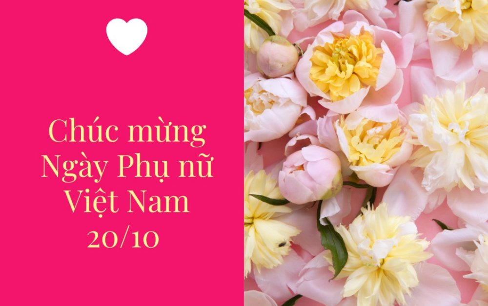 Gợi ý lời chúc 20/10 dành tặng cô giáo đầy trân trọng và biết ơn