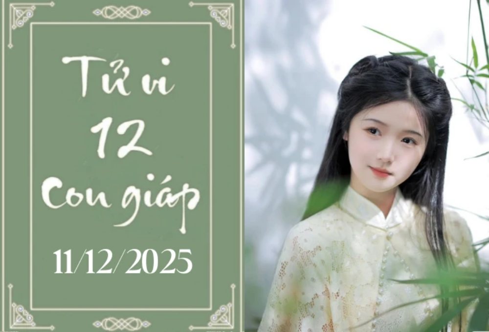 Tử vi 12 con giáp hôm nay 11/12: Hợi hanh thông, Tuất cần thận trọng