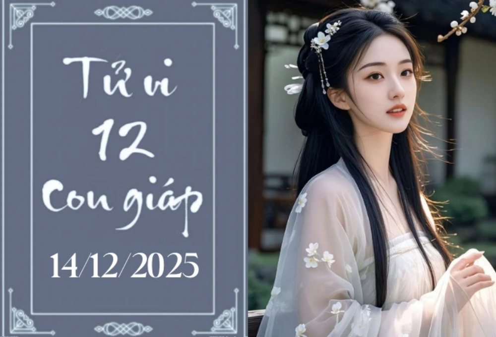 Tử vi 12 con giáp hôm nay 14/12/2025: Mão tự ti, Dần bứt phá