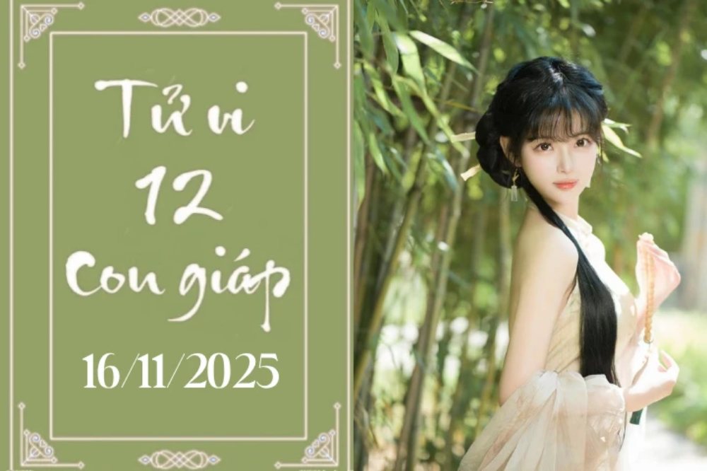 Tử vi 12 con giáp hôm nay 16/11: Thìn bình ổn, Ngọ thuận lợi