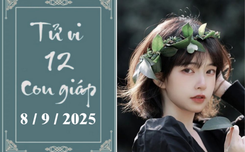 Tử vi 12 con giáp ngày 8/9: Mão bận rộn, Thìn thành công