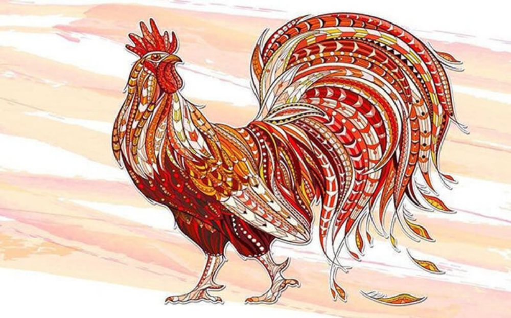 Tử vi tuổi Dậu năm 2026 chi tiết cho từng năm sinh