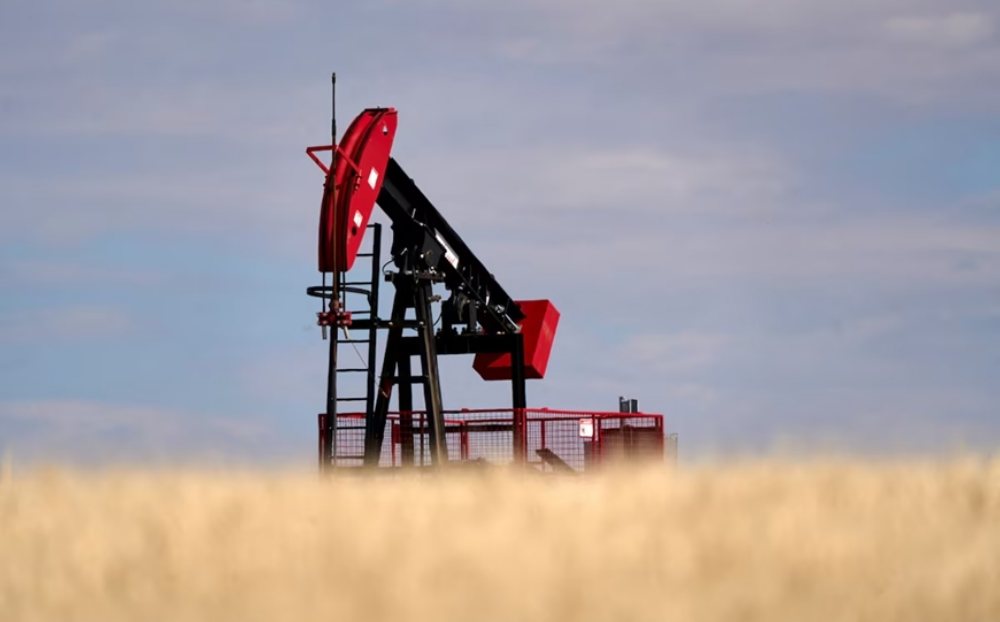 Giá xăng dầu hôm nay (16/11): Tuần tăng giá