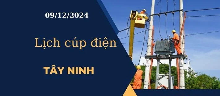 www.ldg.com.vn