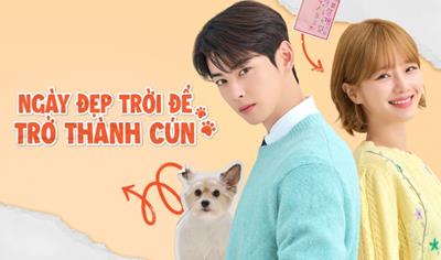 Xem Phim Ngày Đẹp Trời Để Trở Thành Cún Tập 4,5,6,7,8 (Full 14 Tập)