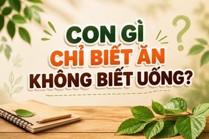 Con gì chỉ biết ăn không biết uống?