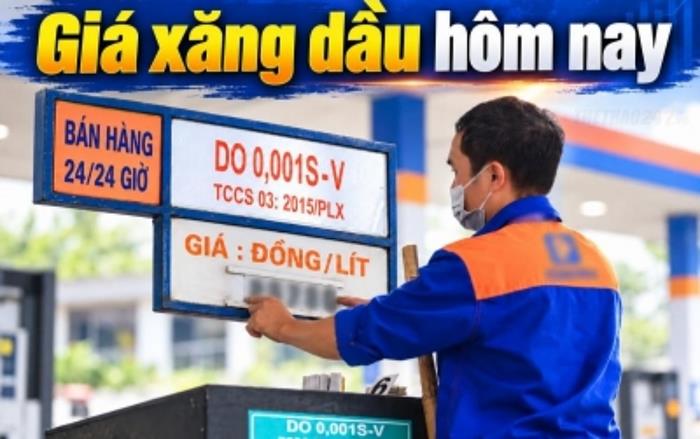 Giá xăng dầu hôm nay 23/10/2026: Xăng giảm mạnh, diesel tăng giá