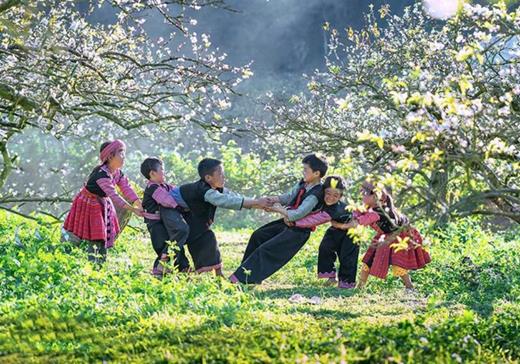 Địa điểm du lịch ở Mộc Châu đẹp mê ly