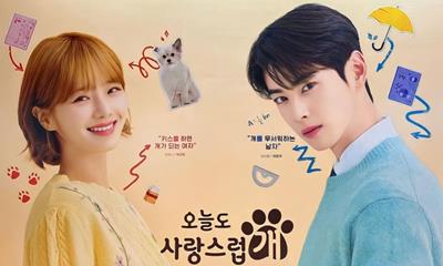 Xem Phim A Good Day To Be A Dog Tập 4,5,6,7,8 (Trọn Bộ 14 Tập)