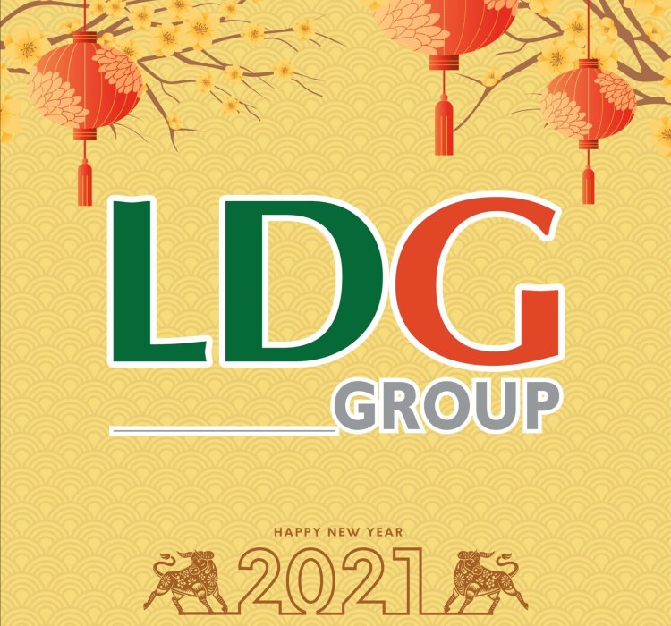 Logo chủ đầu tư dự án LDG River